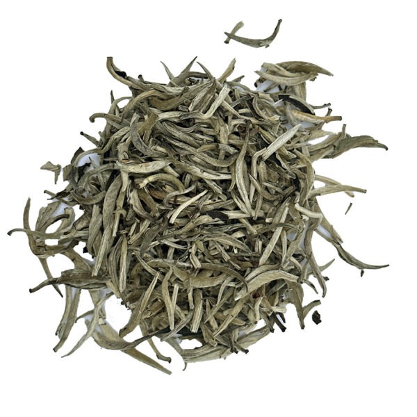 Silver Needle Tea