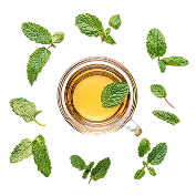 Herbal Tea