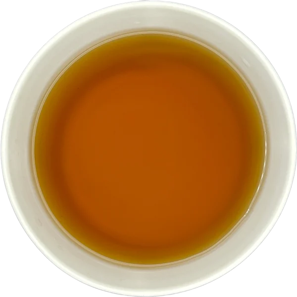Rainforest Mint