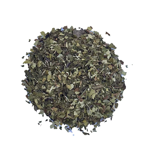 Rainforest Mint
